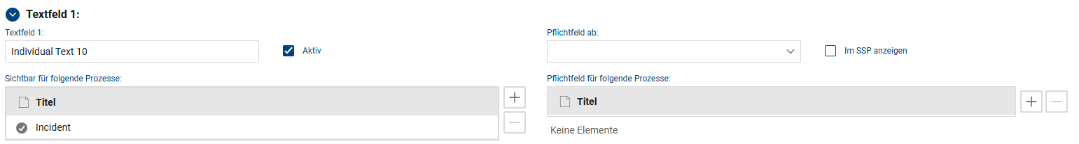 BTS_Webhelp_Systemadministration_Individual_Fields_Details
